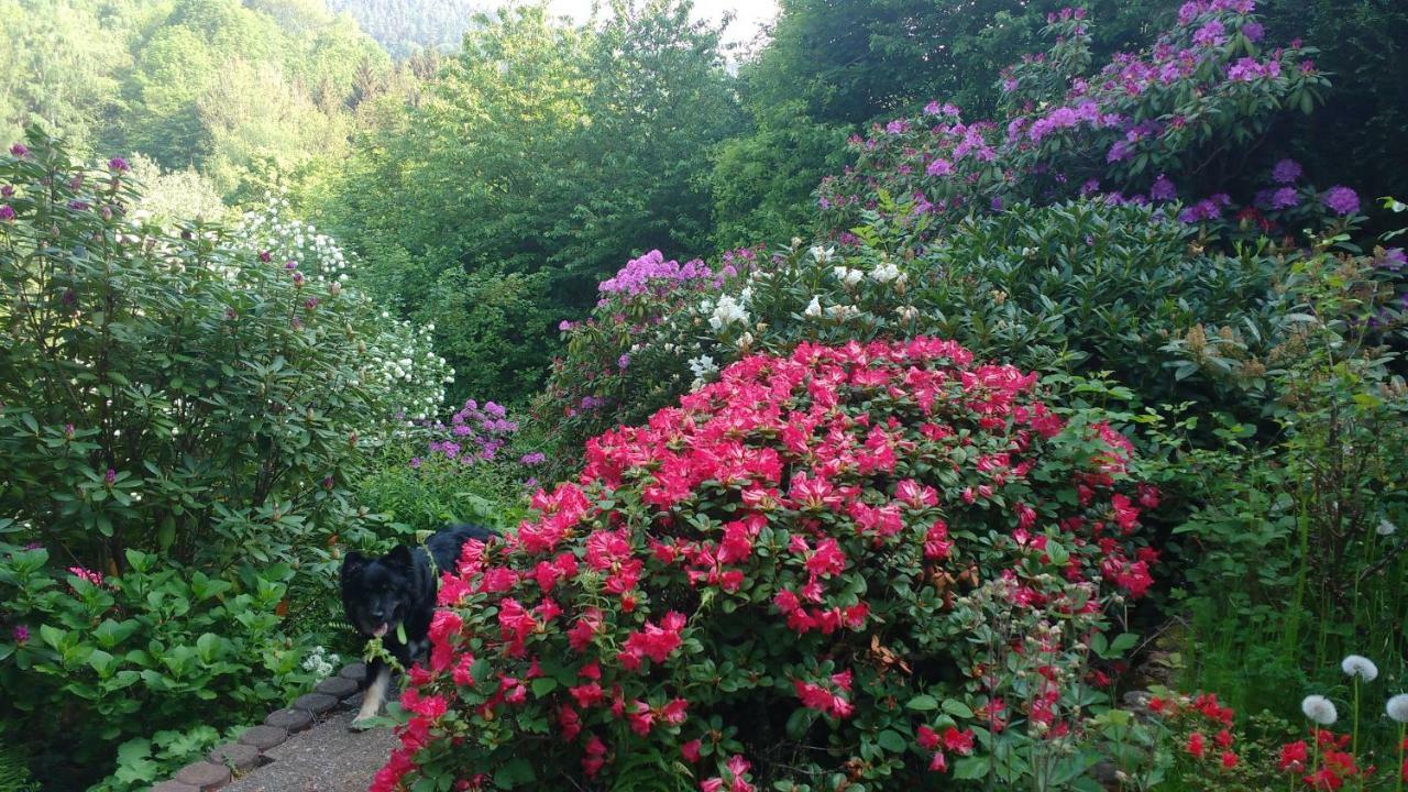 רוטנבורג אן דר פולדה Ferienwohnung Rhododendron - Natur Pur Am Highwalk מראה חיצוני תמונה