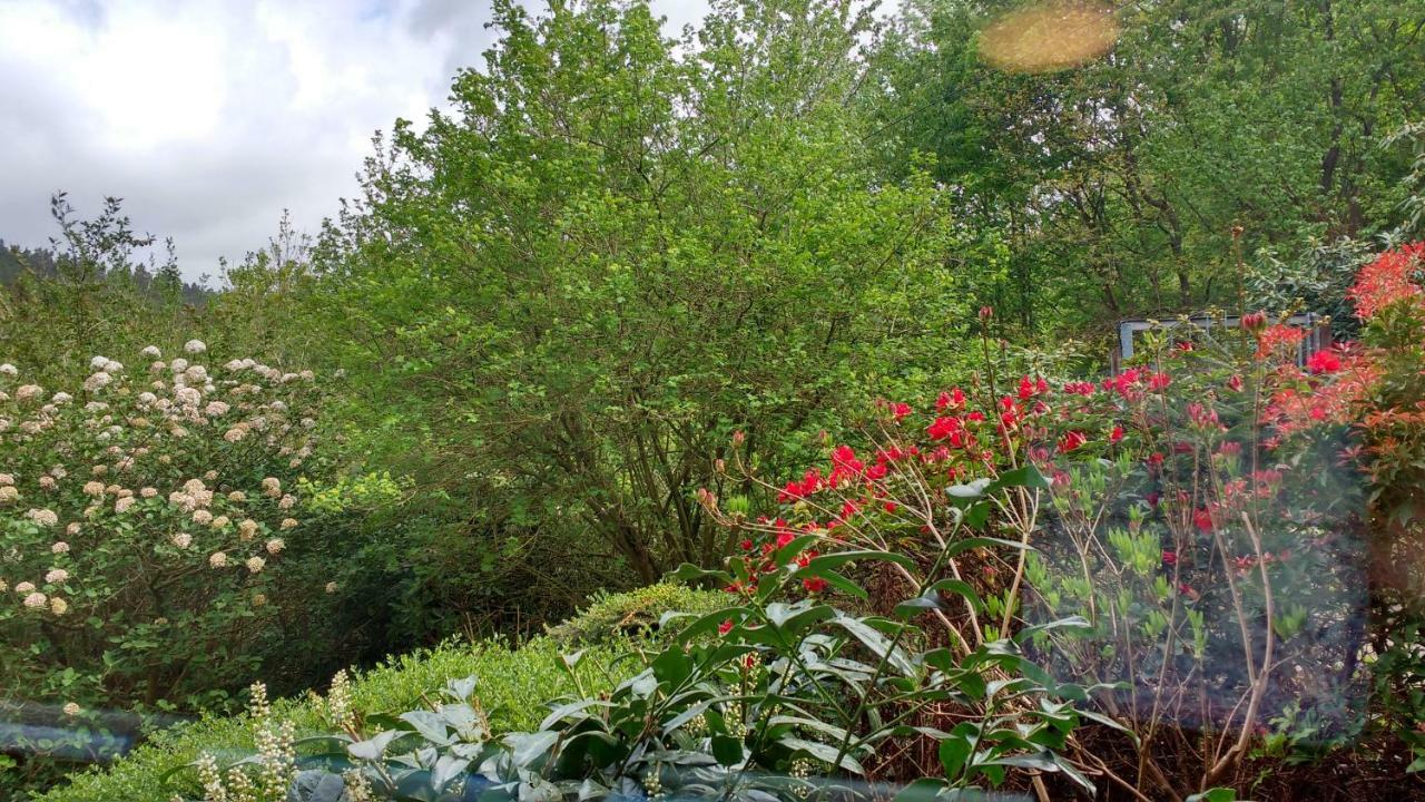 רוטנבורג אן דר פולדה Ferienwohnung Rhododendron - Natur Pur Am Highwalk מראה חיצוני תמונה
